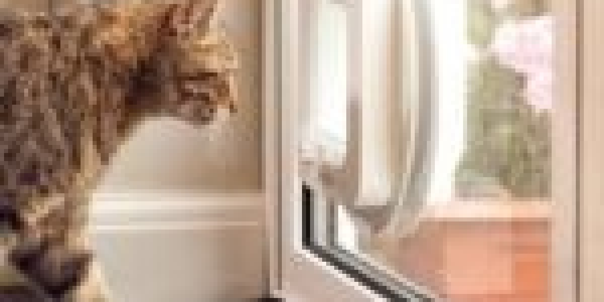 14 Smart Ways To Spend On Leftover Cat Flap Installation Cost Budget