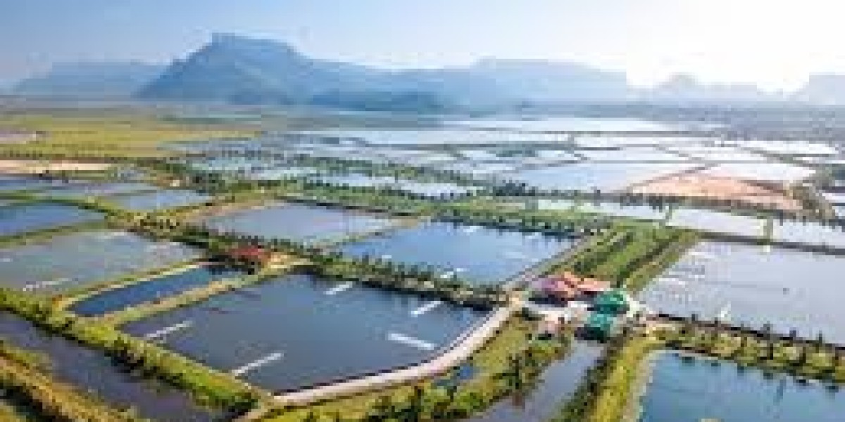 Aquaculture Market Outlook Balancing Growth, Technology, and Sustainability