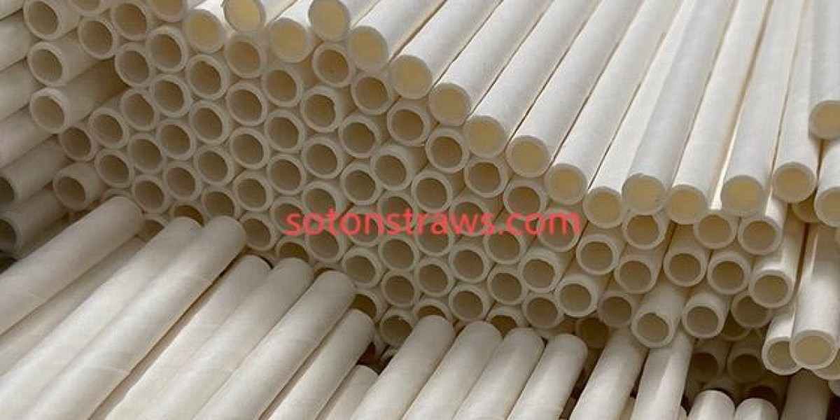 Soton Explores: How Paper Straws Manufactory Invited Lawsuits
